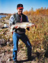 WALLEYE 291/2"