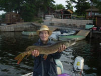 Northern Pike