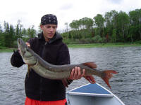 Muskie